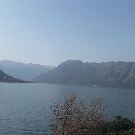 Melodia Del Mare 2 Apartment Kotor Ngoại thất bức ảnh